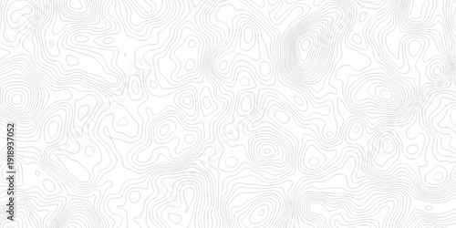 Modern spiral topography map line location discovery design. vector topo map design White topographic world grid wave Topographic map geographic line texture background.