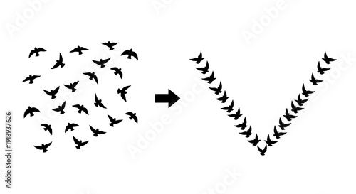 Birds migrating in v formation from scattered flock symbolizing teamwork organization