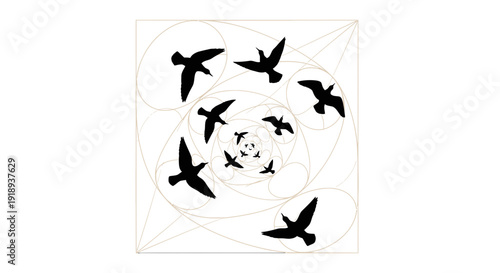 Flock of silhouetted birds flying in swirling spiral pattern towards center