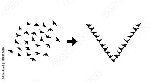 Flock of birds transforming from chaotic formation into organized v shape formation