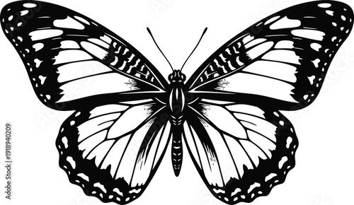 A black and white illustration of a butterfly with detailed wings