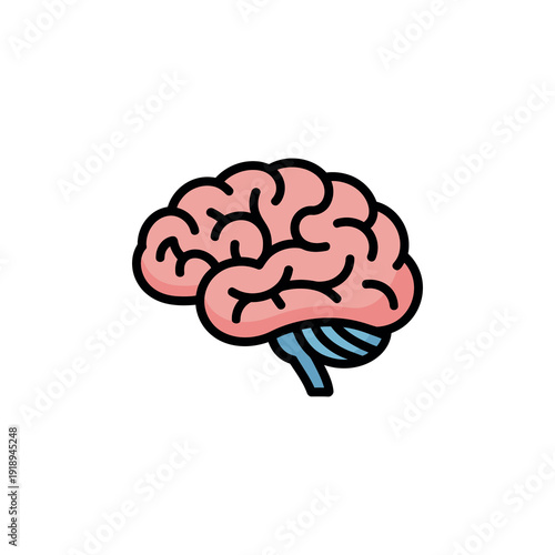 Human brain illustration with pink cortex and blue nerves