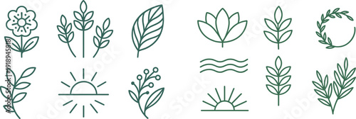 A collection of botanical drawings showcasing diverse flowers, leaves, and a sun motif, all rendered in a minimalist line art style. This set evokes a natural and serene aesthetic.