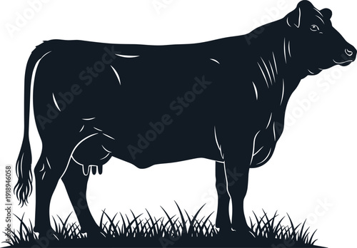 Cow silhouette vector illustration standing on grass, black cattle farm animal isolated on white background, livestock agriculture concept