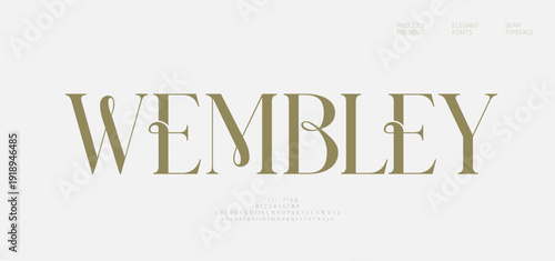 Elegant modern luxury logo alphabet font. Typography beautiful fashion classic letters serif italic fonts decorative wedding vintage beauty logos. vector illustration
