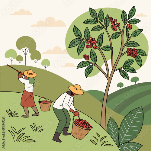 Coffee Harvest Scene: Farmers Picking Beans on Rolling Hills