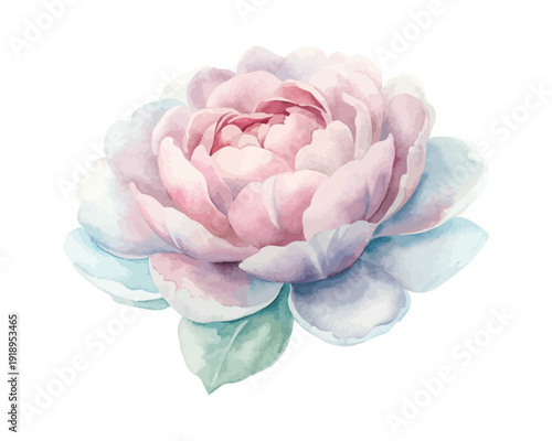 Romantic Peony Watercolor Flower, Elegant Wedding Botanical Illustration Isolated on White