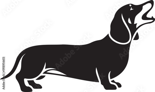 Black barking dachshund dog vector icon