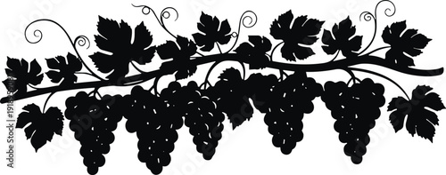 Cat silhouette vector illustration set, seven feline icons in sitting, walking, and standing poses, decorative artwork, and playful graphics