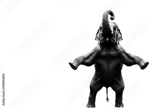 A black and white illustration of a person wearing a hooded cloak with a plaid pattern.