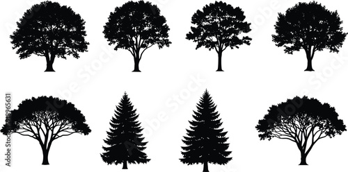 Detailed tree silhouettes collection, cad drawing flat vector illustration featuring deciduous and coniferous species for landscape architecture and nature design.