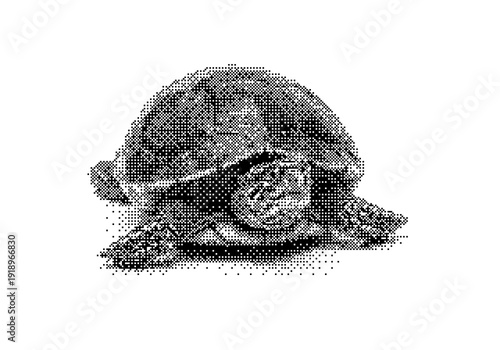 Stylized Turtle Halftone Art dither