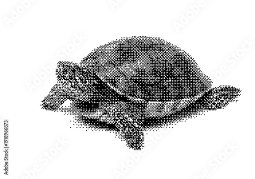 Halftone Turtle Illustration dither