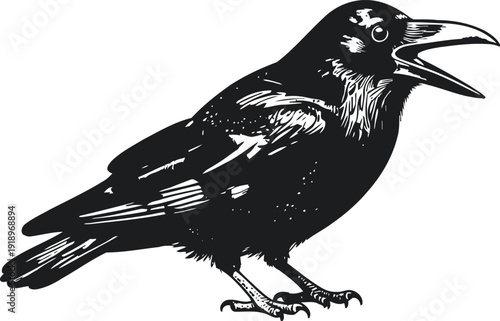 Black crow illustration with open beak standing side view detailed hand drawn raven drawing in vintage