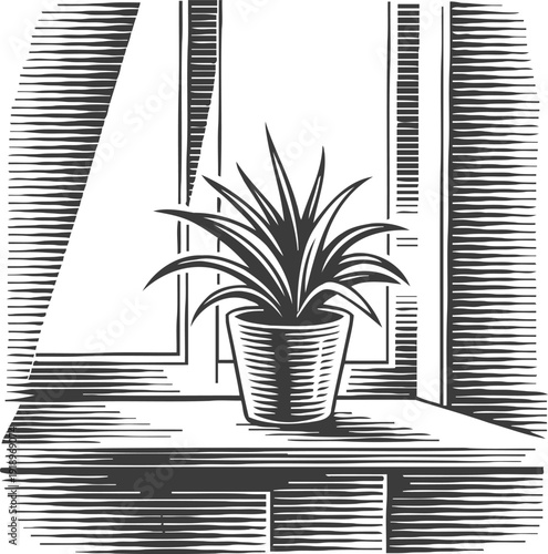potted plant on windowsill with sunlight indoor home decoration and natural light illustration
