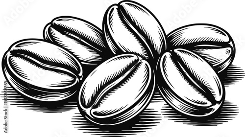 Black and white illustration of a group of six pecan nuts with detailed shading and texture on a white background