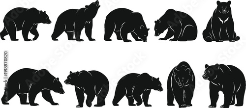 Collection of bear silhouettes in different poses isolated on white background wildlife animal nature vector illustration set