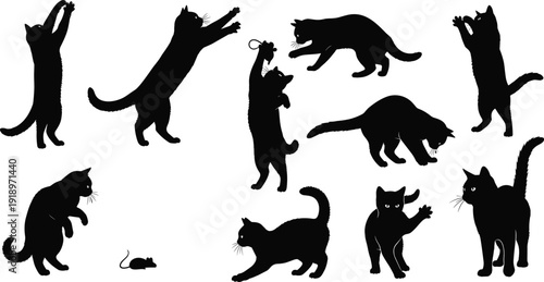 Set of playful cat silhouettes jumping, hunting and playing isolated on white background, domestic feline pet illustration collection for animal design
