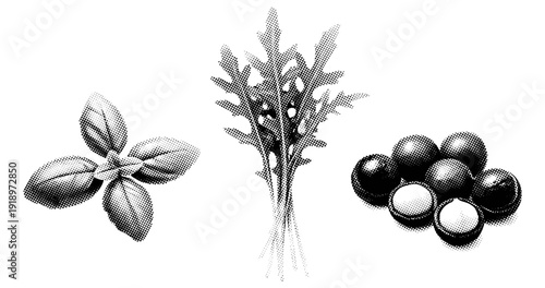 Monochrome halftone basil leaves, arugula, and fruits illustration