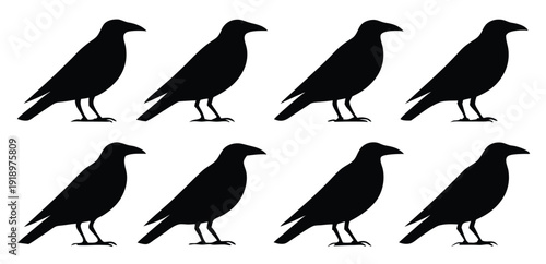 collection of birds set of silhouettes of birds