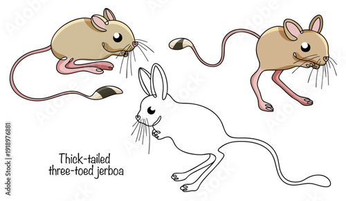 Иллюстрация без названия
