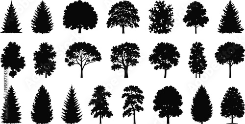 Forest tree silhouettes collection set, detailed deciduous and conifer trees isolated vector illustration on white background