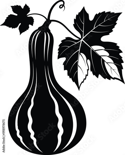 Hanging Gourd on Vine Botanical Silhouette Vector
