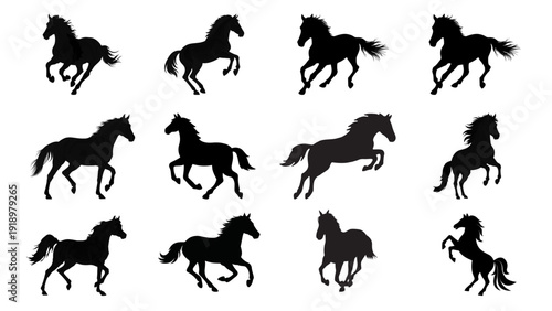 Horse Silhouette Icon Set – Running and Standing Horse Black Vector Collection