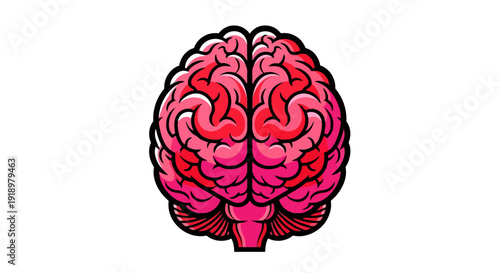 Anatomical illustration of the human brain, a symbol of knowledge, memory, and intelligence