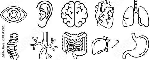 Mixed Human Anatomy Line Icon Set with Sensory Organs, Spine and Internal Body Systems