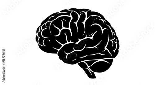 Illustration of a human brain showing intricate details and complex structure, symbolizing intelligence and cognition