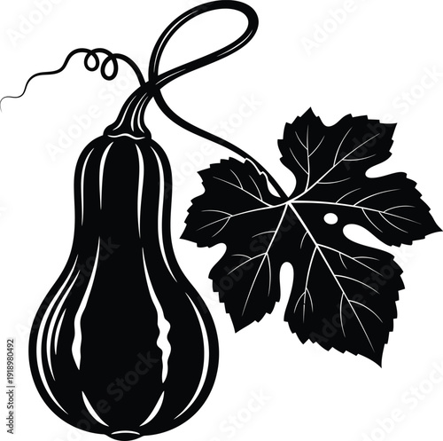 Hanging Gourd on Vine Botanical Silhouette Vector
