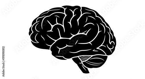 A detailed black and white illustration of the human brain, showcasing its intricate structure and complexity