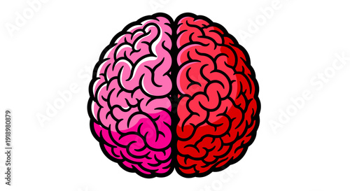 Illustration of a stylized brain split into two colorful hemispheres, symbolizing thinking, intelligence, and cognition