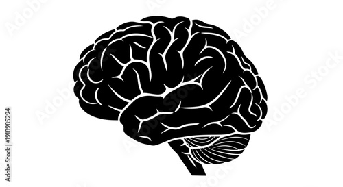 Black Silhouette of Human Brain showing the Cerebrum and Cerebellum for Medical and Scientific Concepts