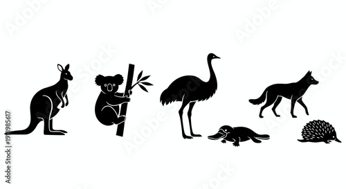 Black and white silhouette illustration of a collection of Australian wildlife including a kangaroo koala emu dingo platypus and echidna