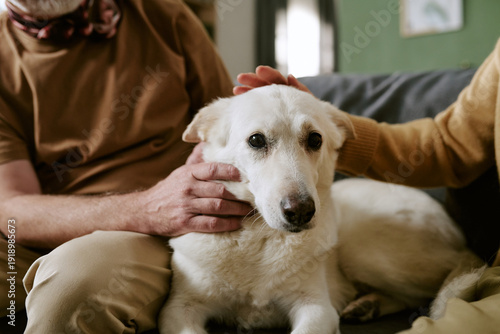 Photography Senior Caucasian man and senior Caucasian woman petting large dog sitting on cou