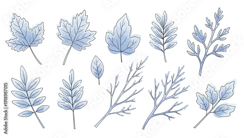 A set of blue line drawings of various leaves and branches on a white background with a simple illustrative style.