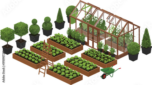 Isometric vector illustration set of a backyard garden including a glass greenhouse raised vegetable beds topiary trees ladder and a green wheelbarrow for landscaping