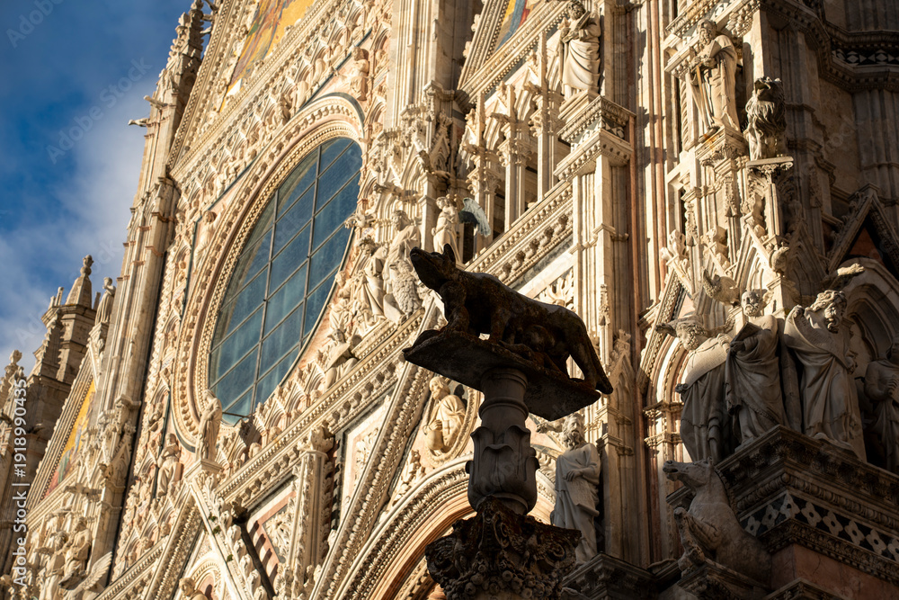 Fototapeta premium Italy Tuscany Siena Cathedral view of the Duomo