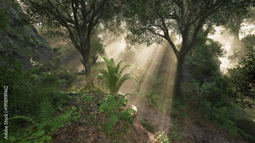 Cuadro en lienzo Sunlit forest path with dramatic vertical rays and textured groundcover, invitin