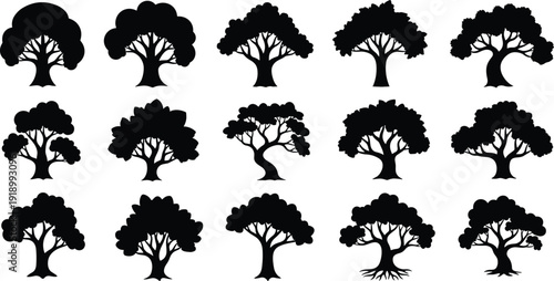 Tree silhouette collection with different forest canopy shapes isolated black nature elements vector illustration set