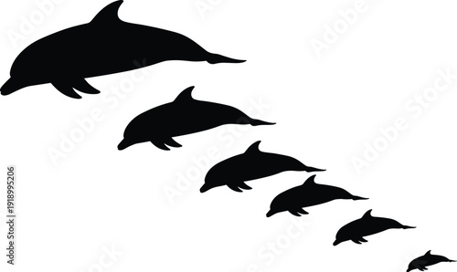 Pod of dolphin silhouettes swimming in perspective, black marine mammal shapes isolated on white background for ocean, wildlife, and aquatic design concepts