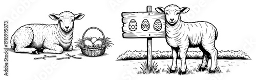Black and white vintage engraving of cute lambs with easter eggs and a basket in nature