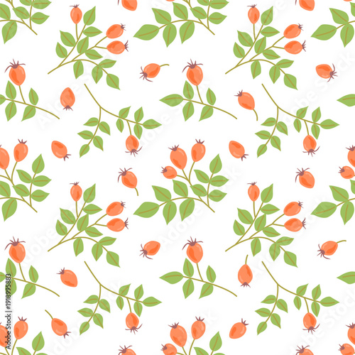 floral seamless pattern with rosehips and berries