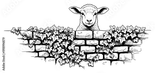 Curious lamb peeking over an old brick wall with ivy in vintage woodcut style