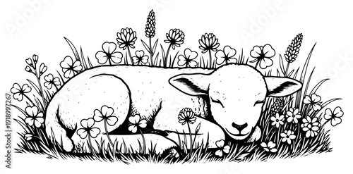 Hand drawn vintage style illustration of a peaceful lamb sleeping in a field of flowers and clover