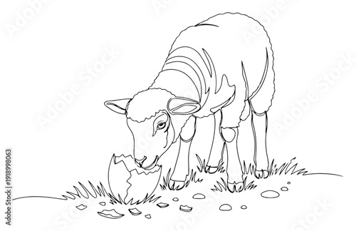 Continuous line drawing of a lamb looking at a broken eggshell on the ground