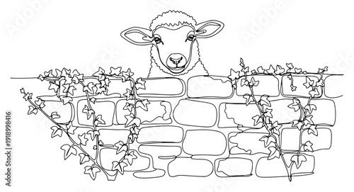 Minimalist line art of a curious sheep peeking over a stone wall with ivy vines