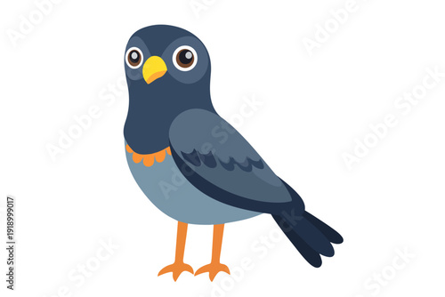 Cute cartoon pigeon vector illustration. Stylized city bird character with grey feathers and orange legs isolated on white. Flat mascot design.